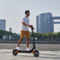 Scooters eléctricos plegables 3000 vatios Europa Droppiship